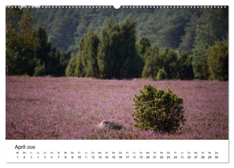 Produktbild: L&uuml;neburger Heide (hochwertiger Premium Wandkalender 2026 DIN A2 quer), Kunstdruck in Hochglanz