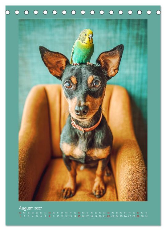 Produktbild: Mini-Pinscher. Kleine Hunde in sch&ouml;nen Momenten (Tischkalender 2027 DIN A5 hoch), CALVENDO Monatskalender