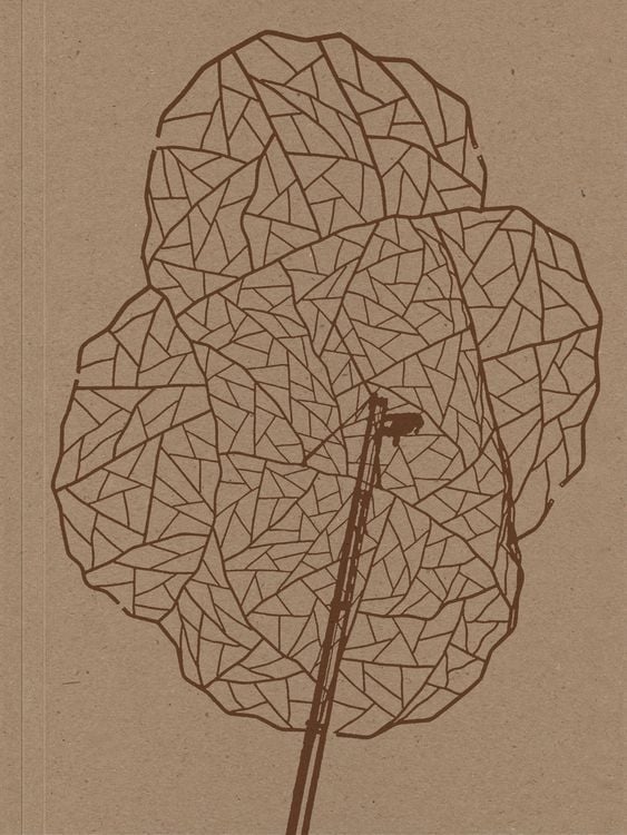 Produktbild: Alois Schild