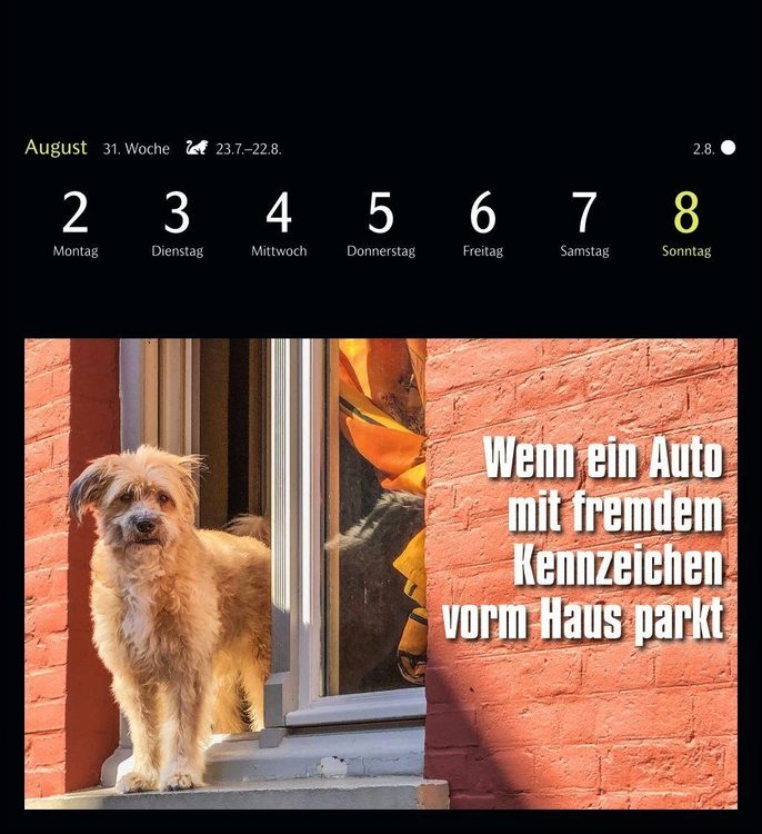Produktbild: Animal Memes Postkartenkalender 2027 - 53 tierisch witzige Postkarten