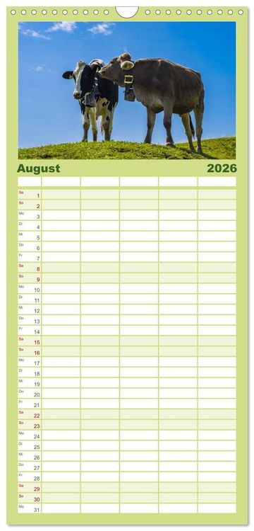 Produktbild: Familienplaner 2026 - Allg&auml;uer Sch&ouml;nheiten Allg&auml;u - Land der K&uuml;he mit 5 Spalten (Wandkalender, 21 x 45 cm) CALVENDO