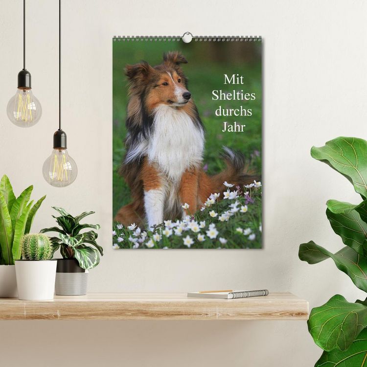 Produktbild: Mit Shelties durchs Jahr (Wandkalender 2026 DIN A3 hoch), CALVENDO Monatskalender