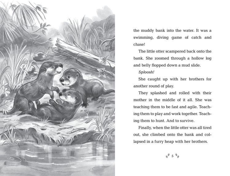 Produktbild: How to Save an Otter