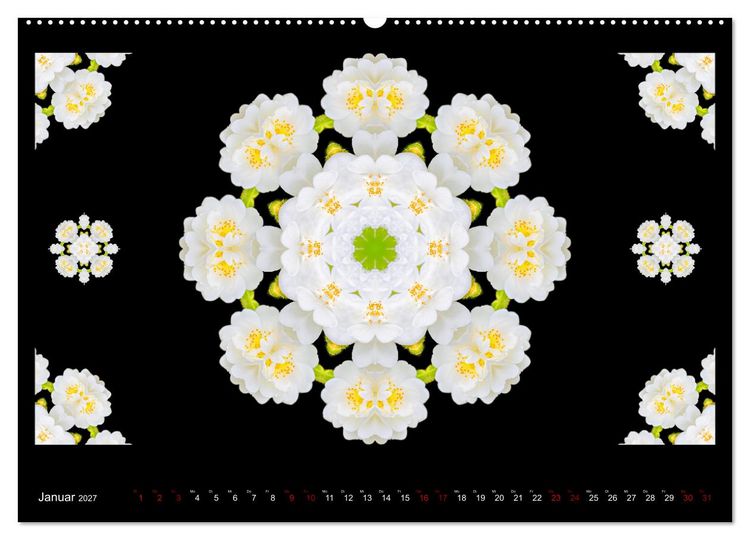 Produktbild: ROSEN MANDALAS (hochwertiger Premium Wandkalender 2027 DIN A2 quer), Kunstdruck in Hochglanz