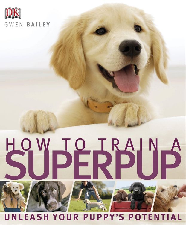 Produktbild: How to Train a Superpup