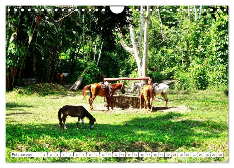 Produktbild: Naturjuwel Soroa - Ein St&uuml;ck vom Paradies auf Kuba (Wandkalender 2026 DIN A4 quer), CALVENDO Monatskalender