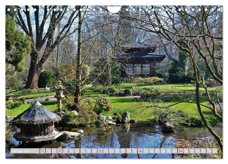 Produktbild: Fern&ouml;stlicher Zauber Japanischer Garten Leverkusen (Wandkalender 2026 DIN A4 quer), CALVENDO Monatskalender