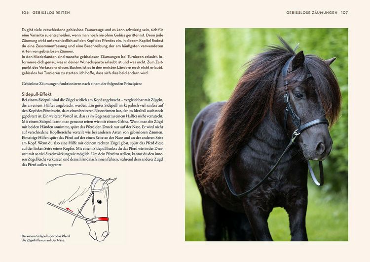 Produktbild: Gebisslos Reiten