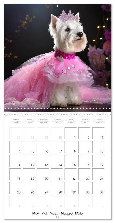 Produktbild: Grand Divas of the Dog World (Wall Calendar 2026 12 &times; 12 Inch) CALVENDO 12 Month Wall Calendar