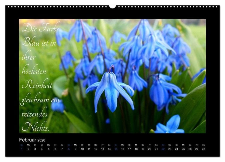 Produktbild: Goethes Blau. Gedanken zur Farbe (Wandkalender 2026 DIN A2 quer), CALVENDO Monatskalender