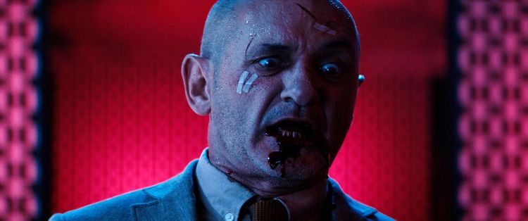 Produktbild: Skinford: The Curse