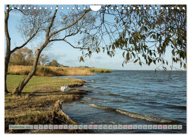 Produktbild: Mecklenburg Vorpommern - Wasser und Meer (Wandkalender 2026 DIN A4 quer), CALVENDO Monatskalender