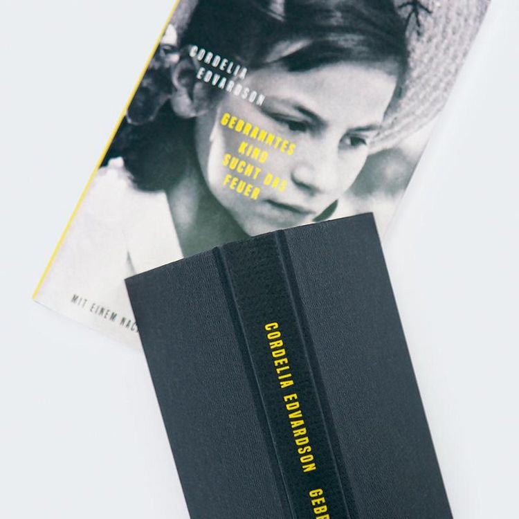 Produktbild: Gebranntes Kind sucht das Feuer