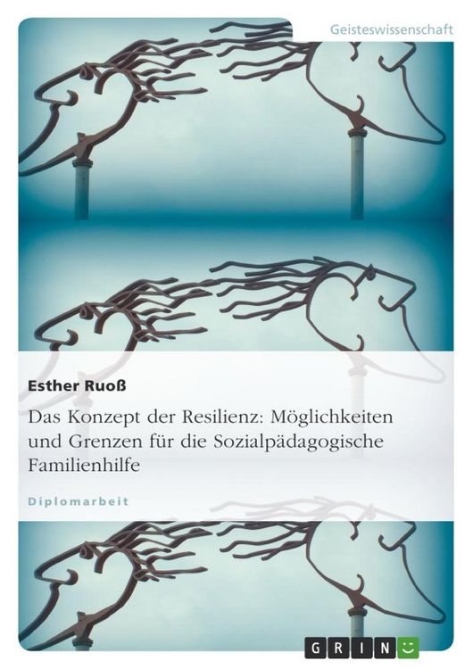 Produktbild: Das Konzept der Resilienz: M&ouml;glichkeiten und Grenzen f&uuml;r die Sozialp&auml;dagogische Familienhilfe