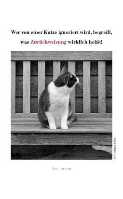 Produktbild: Katzen Taschenkalender 2027