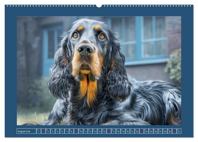 Produktbild: Gordon Setter. Edle Seelen in der Natur (Wandkalender 2026 DIN A2 quer), CALVENDO Monatskalender