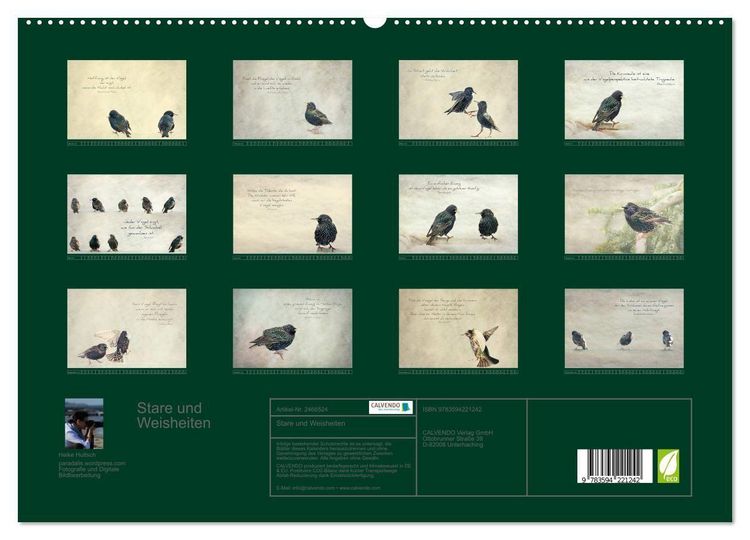 Produktbild: Stare und Weisheiten (hochwertiger Premium Wandkalender 2027 DIN A2 quer), Kunstdruck in Hochglanz