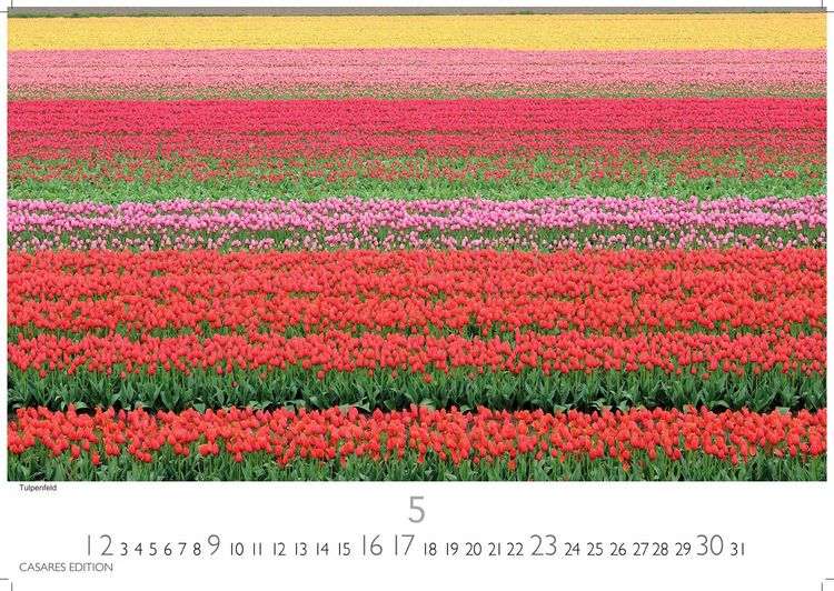 Produktbild: Niederlande Kalender 2027 &ndash; Wandkalender | Fotokalender Mitteleuropa 24x35cm - Entdecken Sie die sch&ouml;nsten Sehensw&uuml;rdigkeiten der Niederlande
