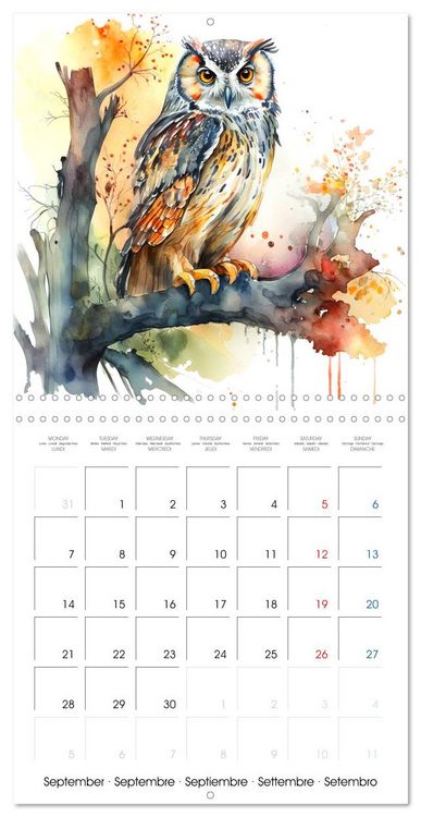 Produktbild: Animaux de la for&ecirc;t &agrave; l'aquarelle (Calendrier mural carr&eacute; 2026 30x30 cm) Calendrier double avec une page pour vos prises de notes