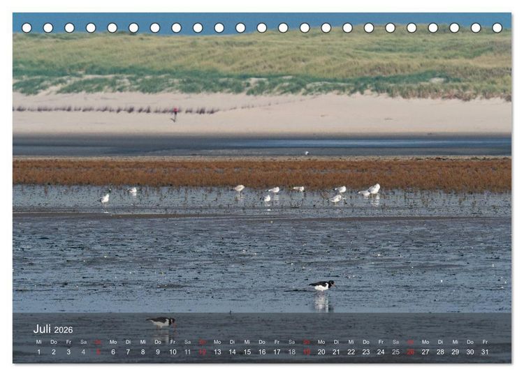 Produktbild: Texel - Meine Insel (Tischkalender 2026 DIN A5 quer), CALVENDO Monatskalender