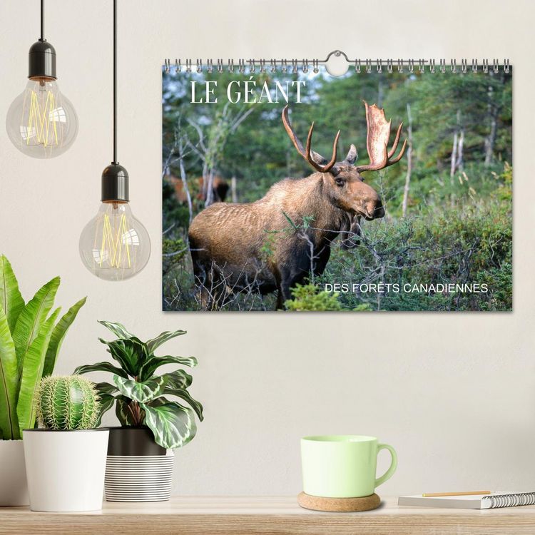 Produktbild: LE G&Eacute;ANT DES FOR&Ecirc;TS CANADIENNES (Calendrier mural 2026 DIN A4 vertical), CALVENDO calendrier mensuel