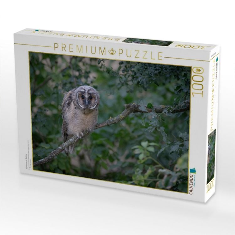 Produktbild: CALVENDO Puzzle Waldohreule, &Auml;stling | 1000 Teile Lege-Gr&ouml;&szlig;e 64x48cm Foto-Puzzle f&uuml;r gl&uuml;ckliche Stunden