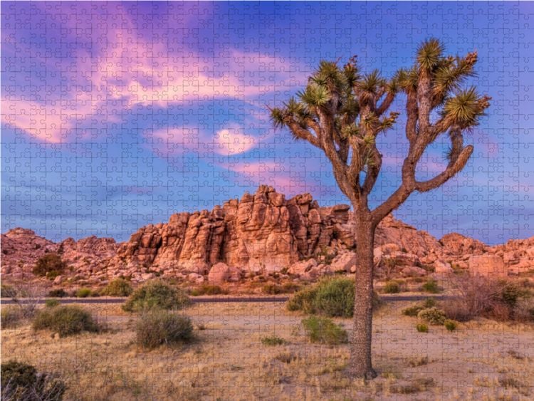 Produktbild: CALVENDO Puzzle Joshua Tree im Abendlicht | 1000 Teile Lege-Gr&ouml;&szlig;e 64x48cm Foto-Puzzle f&uuml;r gl&uuml;ckliche Stunden