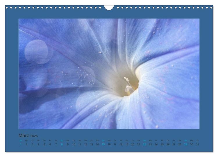 Produktbild: 12 Farben (Wandkalender 2026 DIN A3 quer), CALVENDO Monatskalender
