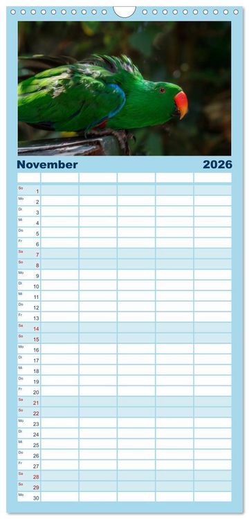 Produktbild: Familienplaner 2026 - Papageien - Frech, sch&ouml;n und schlau mit 5 Spalten (Wandkalender, 21 x 45 cm) CALVENDO