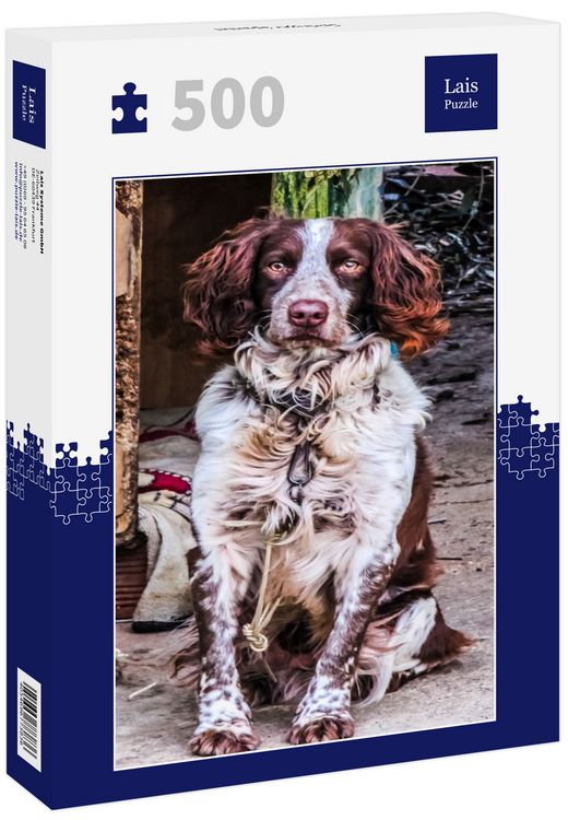 Produktbild: Lais Puzzle Springer Spaniel 500 Teile