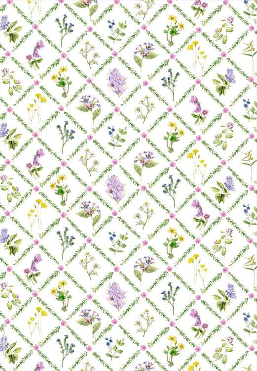Produktbild: Geschenkpapier-Buch: Sch&ouml;ner Schenken - GartenLiebe (Bastin)