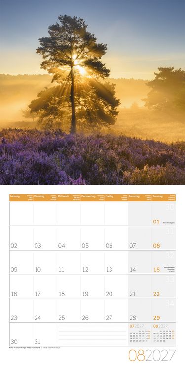 Produktbild: B&auml;ume Kalender 2027 - 30x30 - Art12