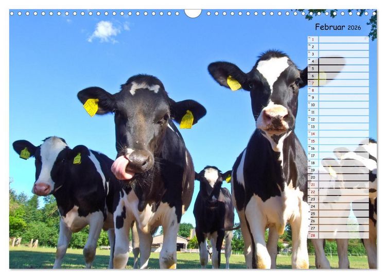 Produktbild: Geliebte Tiere auf dem Bauernhof (Wandkalender 2026 DIN A3 quer), CALVENDO Monatskalender
