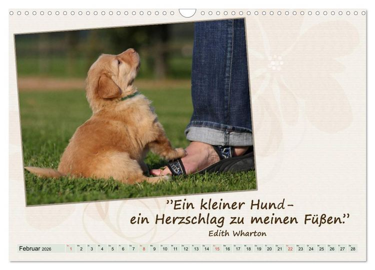 Produktbild: Mit Hundezitaten gut durchs Jahr / CH-Version (Wandkalender 2026 DIN A3 quer), CALVENDO Monatskalender
