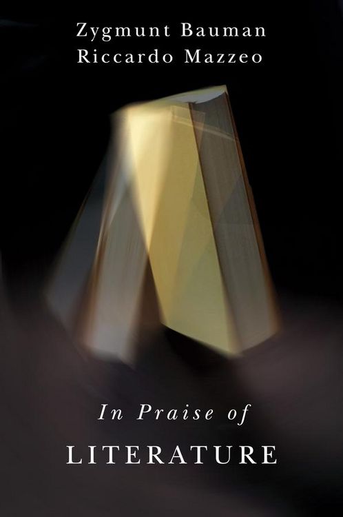 Produktbild: In Praise of Literature