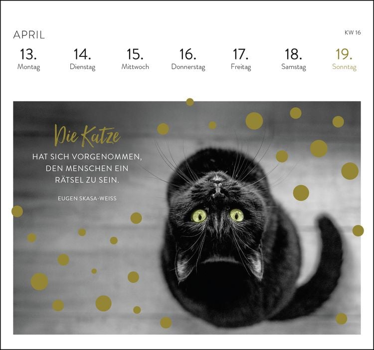 Produktbild: Postkartenkalender 2026: Inspirierende Worte für Katzenfreunde