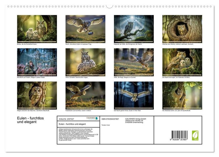 Produktbild: Eulen - furchtlos und elegant (hochwertiger Premium Wandkalender 2027 DIN A2 quer), Kunstdruck in Hochglanz