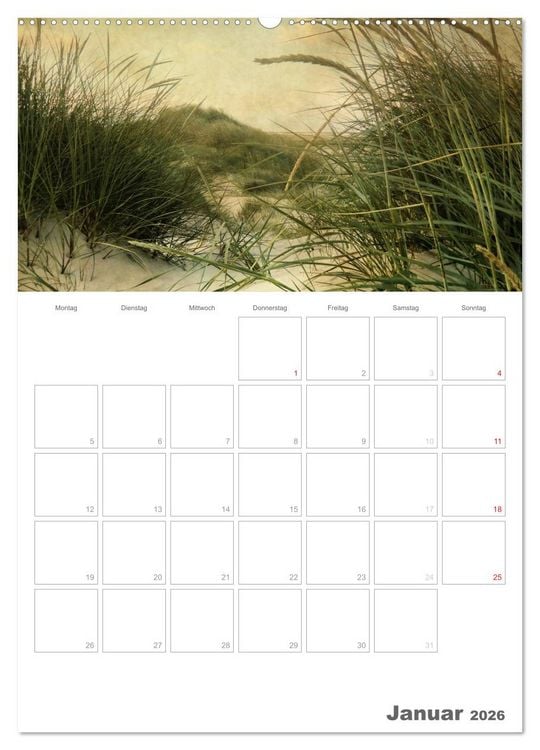Produktbild: D&auml;nemarks Westk&uuml;ste (Wandkalender 2026 DIN A2 hoch), CALVENDO Monatskalender