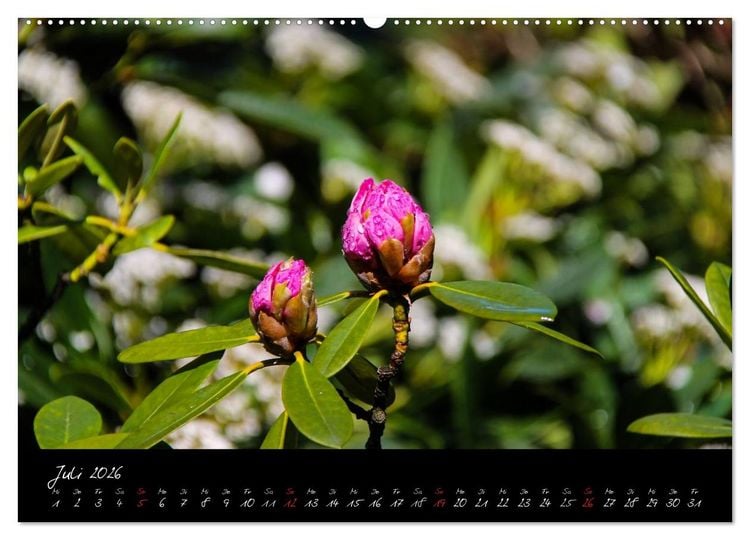 Produktbild: Butchart Gardens 2026 (hochwertiger Premium Wandkalender 2026 DIN A2 quer), Kunstdruck in Hochglanz