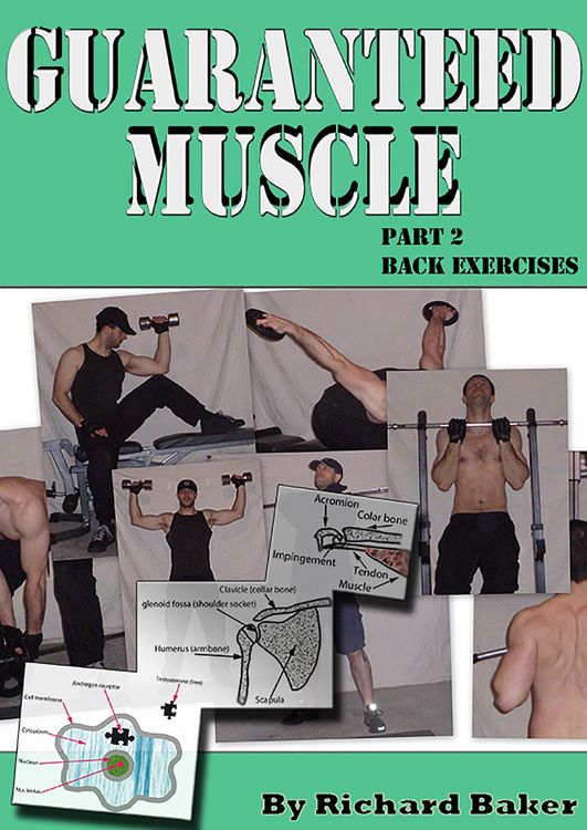 Produktbild: Guaranteed muscle part 2: Back exercises