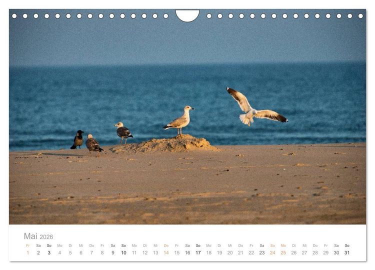 Produktbild: Traumziel D&auml;nemark (Wandkalender 2026 DIN A4 quer), CALVENDO Monatskalender