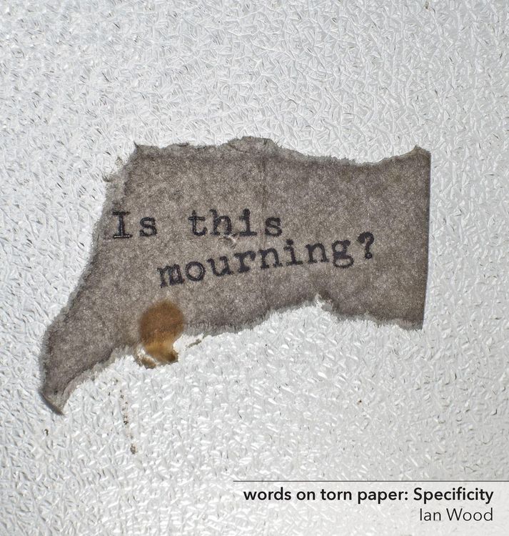 Produktbild: words on torn paper