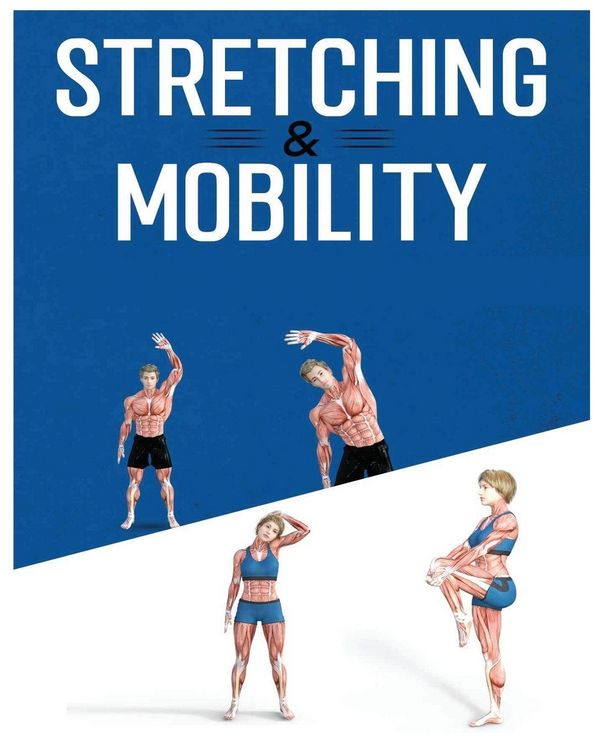 Produktbild: Stretching for Beginners