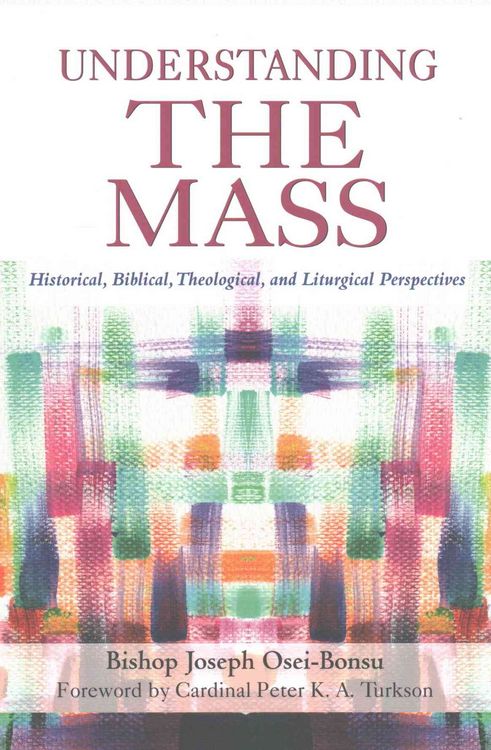 Produktbild: Understanding the Mass