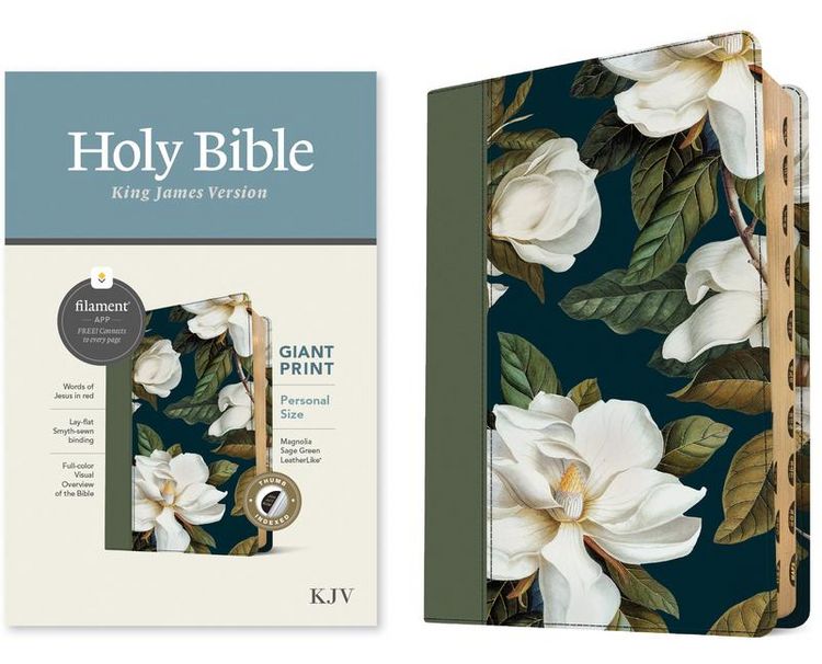 Produktbild: KJV Personal Size Giant Print Bible, Filament Enabled (Leatherlike, Magnolia Sage Green, Indexed, Red Letter)