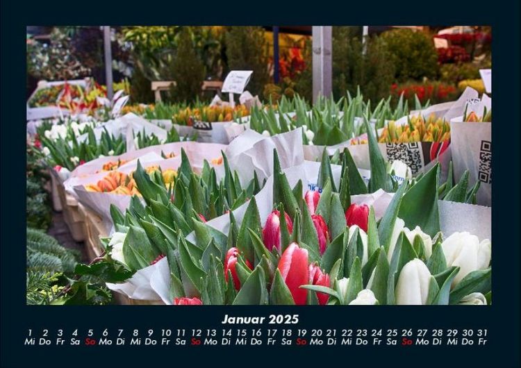 Produktbild: Pflanzen und Bl&uuml;ten 2025 Fotokalender DIN A4