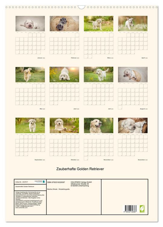Produktbild: Zauberhafte Golden Retriever (Wandkalender 2026 DIN A2 hoch), CALVENDO Monatskalender