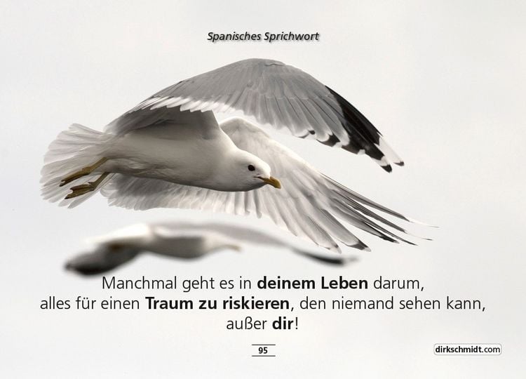 Produktbild: MUTivationsbox 2 - 101 Zitate auf Designerpostkarten für deine Motivation