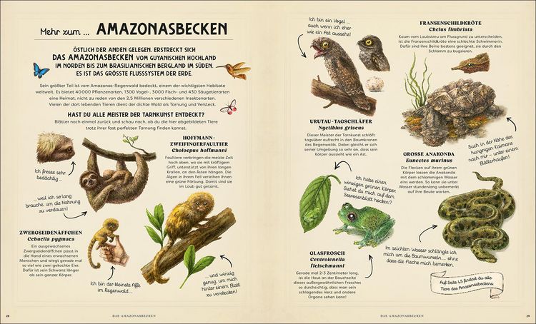 Produktbild: Perfekt versteckt