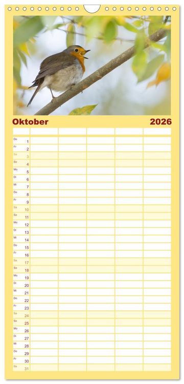 Produktbild: Familienplaner 2026 - Geliebtes Rotkehlchen mit 5 Spalten (Wandkalender, 21 x 45 cm) CALVENDO